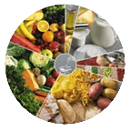 ¿Comemos o nos alimentamos?