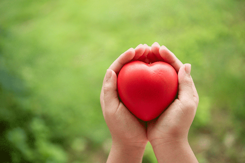 Protectores del corazón: vino, vida activa y seguros médicos