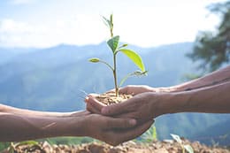 ¿Qué es un ecofuneral?